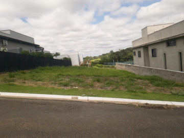 Jardim Flamboyan