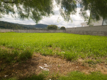 Jardim Flamboyan